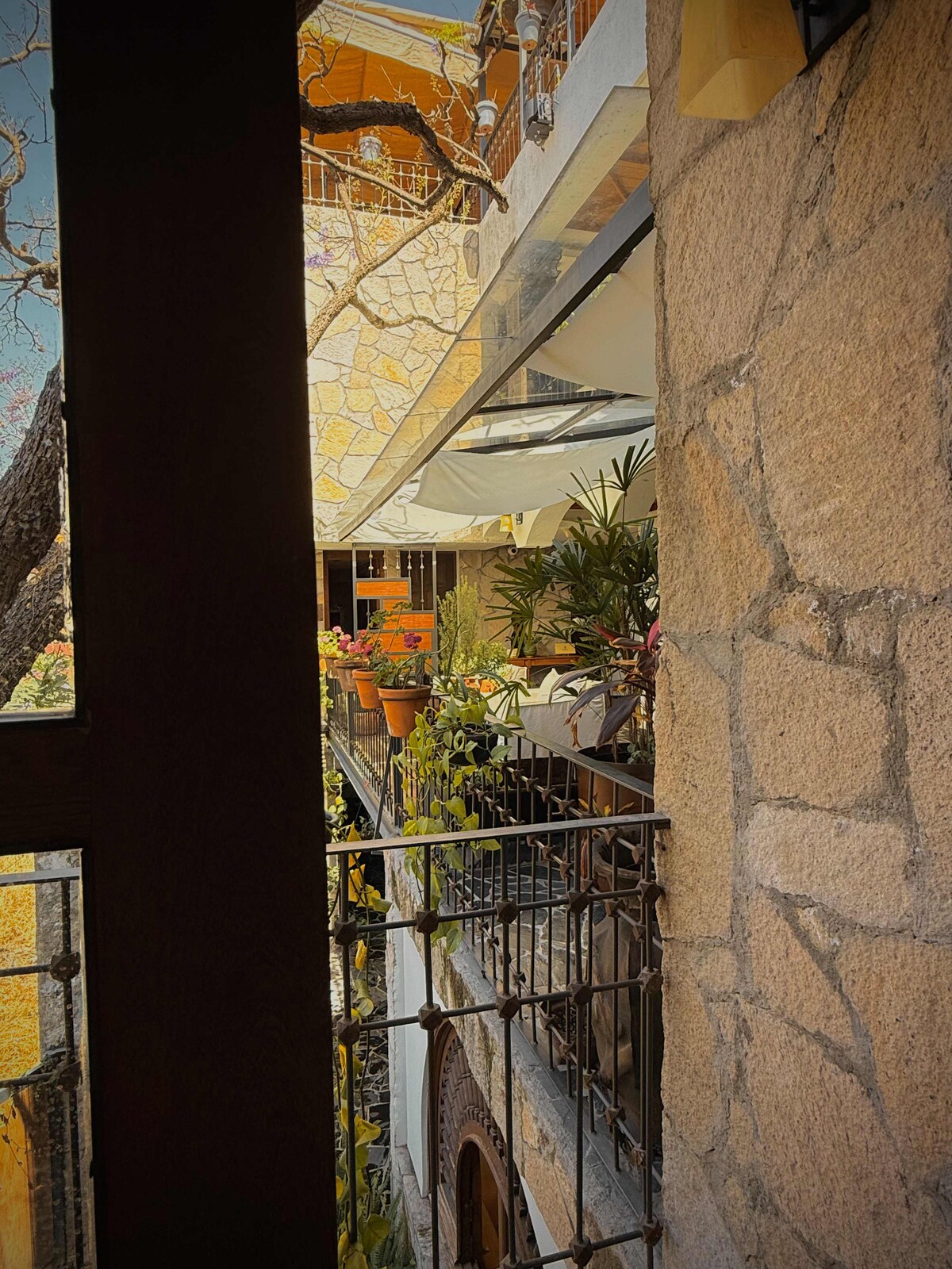Cerámica at Casa Laja, photo 4