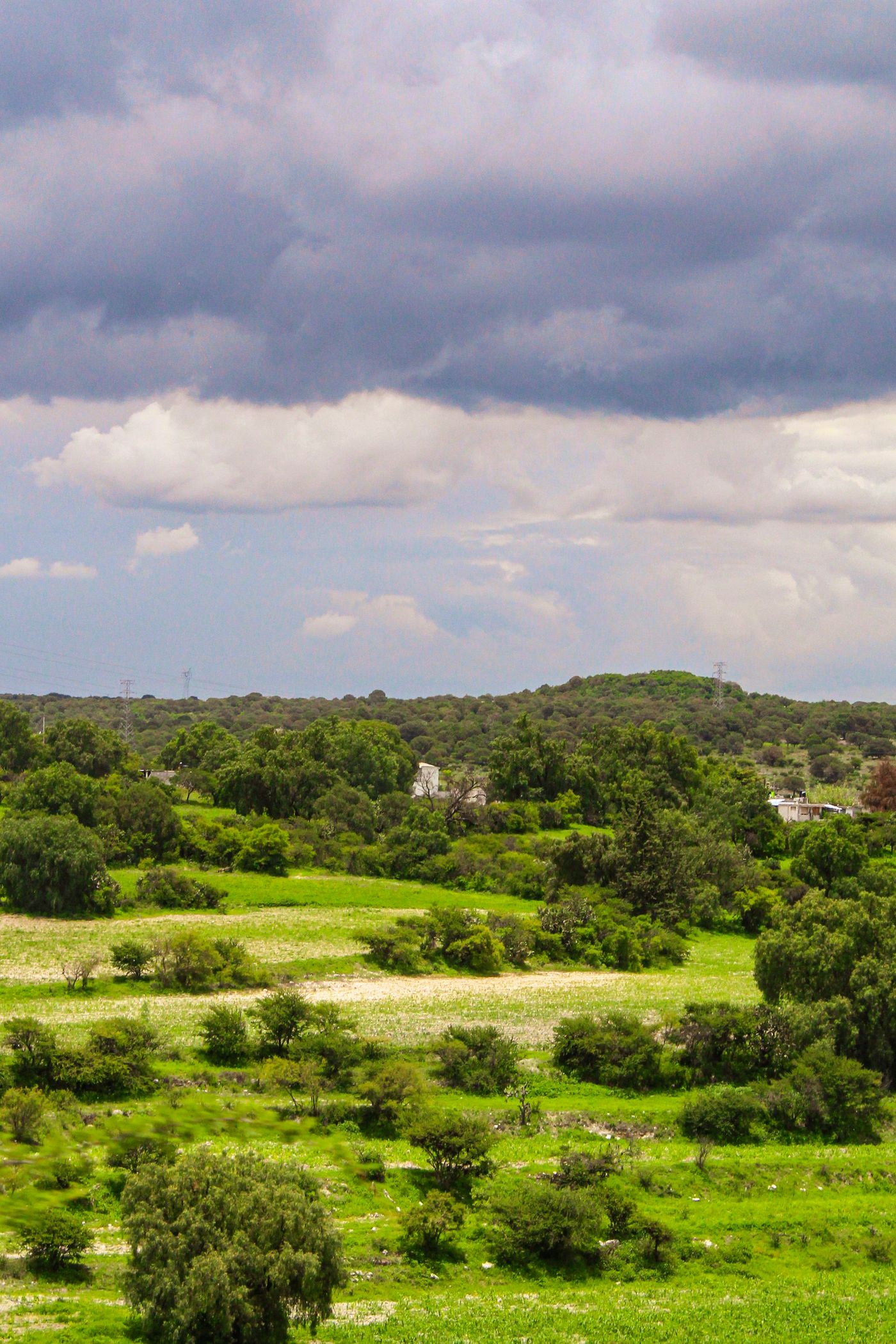 The green highland countryside around San Miguel de Allende
