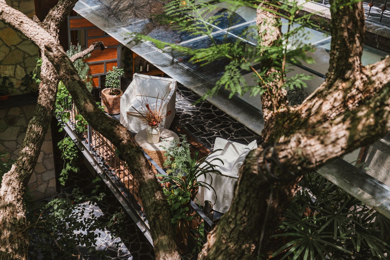 The planted interior courtyard seen from above, a tree reaching up past the glass roof