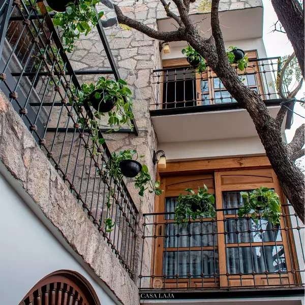 Planted interior courtyard with balconies and hanging greenery