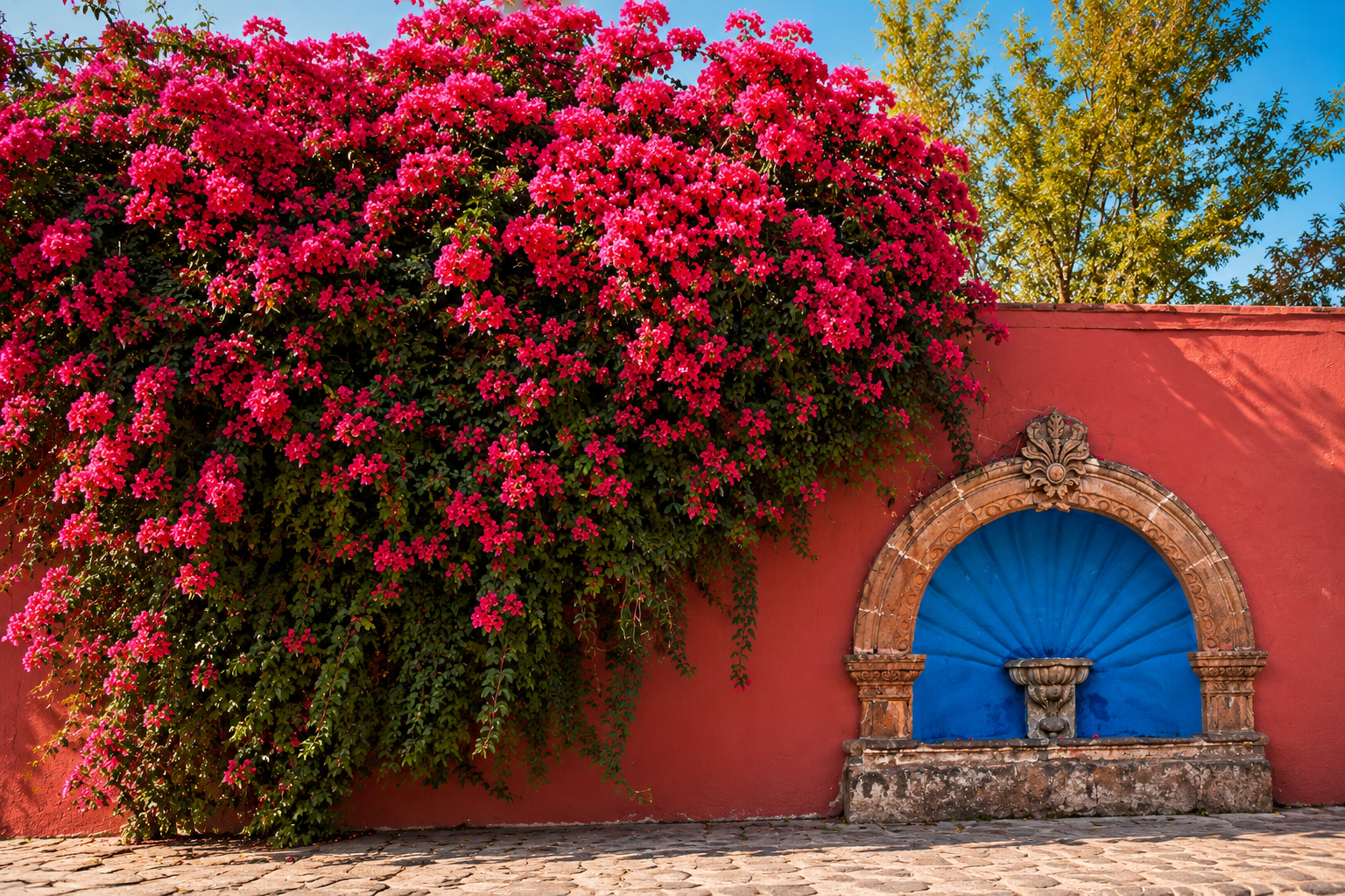 Colonial buildings draped in bougainvillea