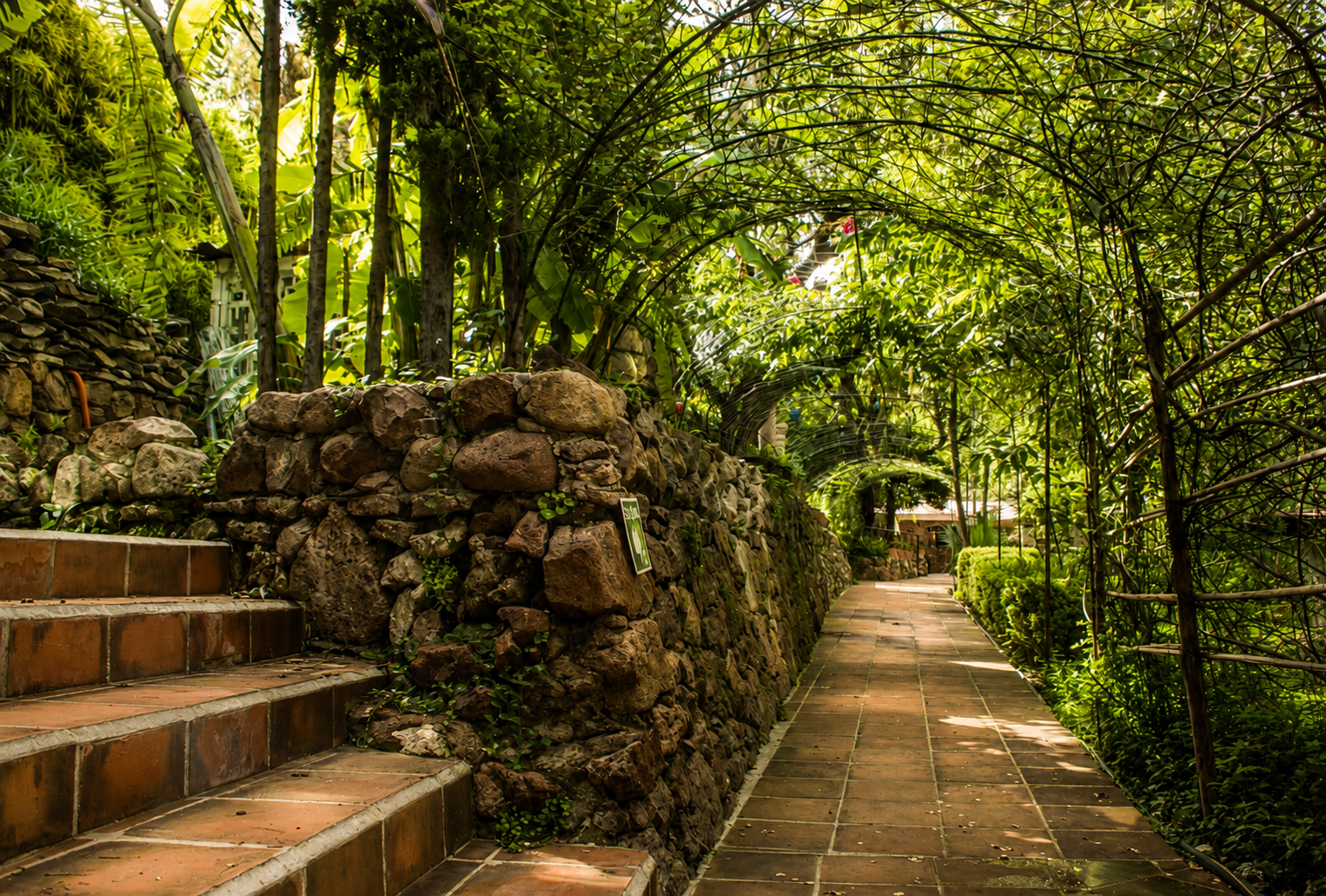 Gardens surrounding La Gruta Spa